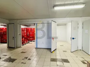 Pronájem skladu, Hodonín, Na Výhoně, 90 m2