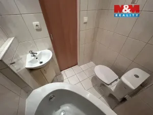 Pronájem bytu 1+1, Ústí nad Labem - Střekov, Tolstého, 37 m2