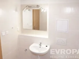 Prodej bytu 1+kk, Praha - Braník, Na vinohradu, 21 m2