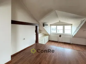 Prodej bytu 3+kk, Hradec Králové - Pražské Předměstí, Horova, 91 m2