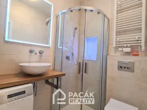 Pronájem bytu 1+1, Olomouc - Hodolany, Masarykova třída, 30 m2