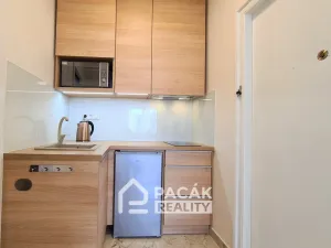 Pronájem bytu 1+1, Olomouc - Hodolany, Masarykova třída, 30 m2