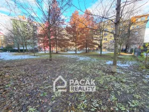 Pronájem bytu 1+1, Olomouc - Hodolany, Masarykova třída, 30 m2