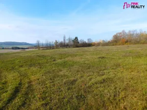 Prodej komerčního pozemku, Gruna, 8784 m2