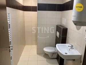 Pronájem bytu 1+kk, Opava, Hviezdoslavova, 25 m2