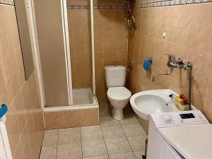 Pronájem bytu 1+kk, Plzeň, Staniční, 28 m2