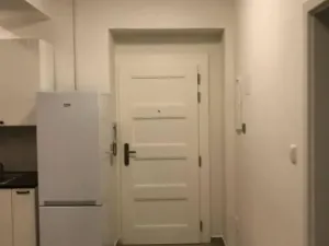 Pronájem bytu 3+1, Praha - Žižkov, Žerotínova, 86 m2