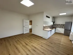 Pronájem bytu 2+1, Most, Čs. mládeže, 53 m2