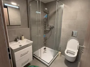 Pronájem bytu 1+kk, Ostrava - Slezská Ostrava, U Hájenky, 34 m2