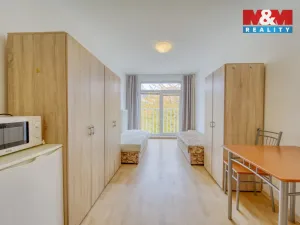 Pronájem bytu 1+kk, Plzeň, Nepomucká, 28 m2