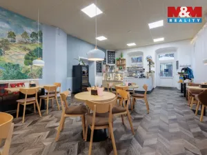 Prodej obchodního prostoru, Nejdek, Karlovarská, 5519 m2