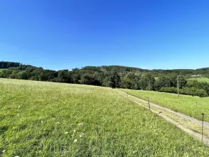 Prodej pozemku pro bydlení, Vyškovec, 5950 m2