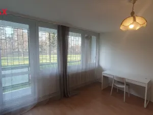 Pronájem bytu 1+kk, Praha - Karlín, Nekvasilova, 29 m2