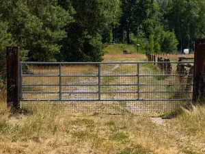 Prodej louky, Doksy, 46765 m2