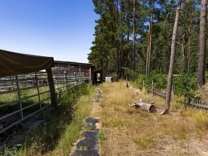 Prodej louky, Doksy, 46765 m2