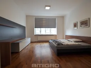 Pronájem bytu 3+kk, Brno, Květinářská, 173 m2