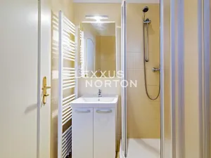 Pronájem bytu 1+1, Praha - Vinohrady, Máchova, 40 m2