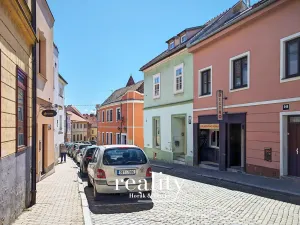 Prodej rodinného domu, Znojmo, Dolní Česká, 429 m2