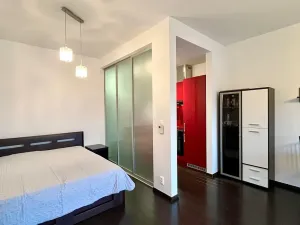 Pronájem bytu 1+kk, Praha - Holešovice, Jankovcova, 43 m2