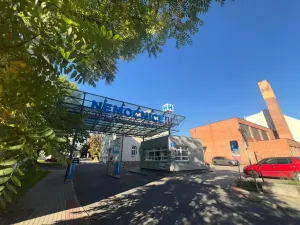 Pronájem bytu 1+kk, Ostrava - Moravská Ostrava, Hornopolní, 16 m2