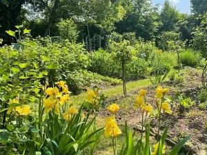 Pronájem bytu 2+1, Uherský Brod, Větrná, 65 m2