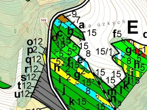 Dražba lesa, Náměšť nad Oslavou, 1796 m2