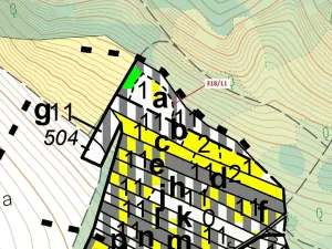 Dražba lesa, Lesní Hluboké, 3838 m2