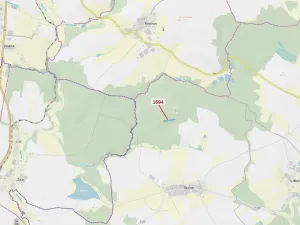 Dražba lesa, Žirovnice, 5755 m2