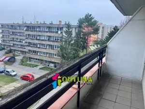 Pronájem bytu 1+kk, České Budějovice, El. Krásnohorské, 30 m2