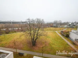 Pronájem bytu 2+kk, Brno, Kigginsova, 61 m2