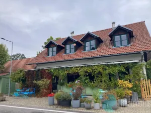 Pronájem restaurace, Protivín - Chvaletice, 320 m2