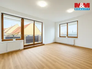 Pronájem bytu 2+kk, Praha, U jízdárny, 50 m2