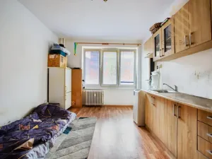 Prodej bytu 1+kk, Most, Františka Halase, 21 m2