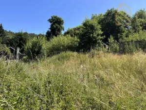 Prodej rodinného domu, Velichov, 778 m2