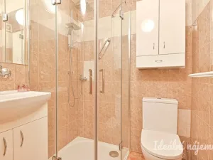 Pronájem bytu 1+1, Brno, Sibiřská, 28 m2