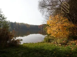 Prodej chaty, Bílichov, 21 m2