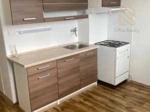 Prodej bytu 1+1, Ústí nad Labem, Stavbařů, 42 m2