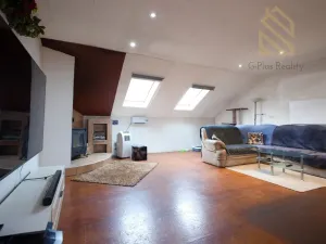 Prodej vícegeneračního domu, Řehlovice - Brozánky, 300 m2