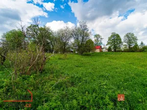 Prodej pozemku pro bydlení, Horní Blatná, Hamerská, 9951 m2