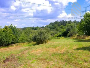 Prodej zahrady, Smolnice, 2370 m2