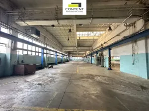 Pronájem skladu, Příbram - Příbram I, Obecnická, 9000 m2