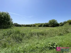 Prodej pozemku pro bydlení, Diváky, 7284 m2