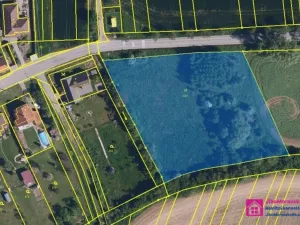 Prodej pozemku pro bydlení, Diváky, 7284 m2