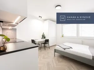 Pronájem bytu 1+kk, Brno, Francouzská, 26 m2