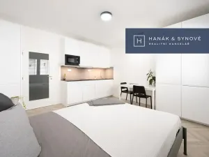 Pronájem bytu 1+kk, Brno, Francouzská, 26 m2