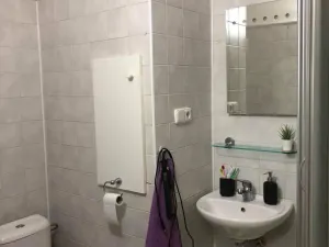 Pronájem bytu 2+kk, Kolín - Kolín II, Na Magistrále, 54 m2