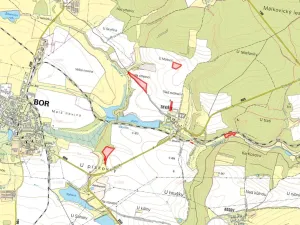 Prodej pole, Bor, 44369 m2