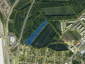 Prodej podílu lesa, Pardubice, 9649 m2