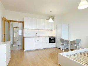 Pronájem bytu 1+kk, Praha, Modenská, 28 m2
