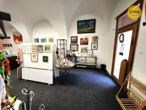 Pronájem obchodního prostoru, Přerov, Wilsonova, 70 m2